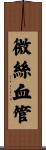微絲血管 Scroll