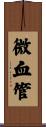 微血管 Scroll