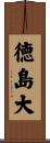 徳島大 Scroll