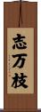 志万枝 Scroll