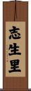 志生里 Scroll