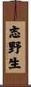 志野生 Scroll