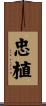忠植 Scroll
