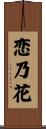 恋乃花 Scroll