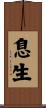 息生 Scroll