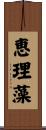 恵理藻 Scroll