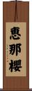 恵那櫻 Scroll