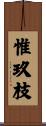 惟玖枝 Scroll