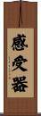 感受器 Scroll