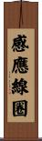 感應線圈 Scroll