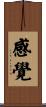 感覺 Scroll