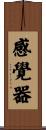 感覺器 Scroll