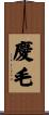 慶毛 Scroll