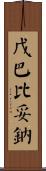 戊巴比妥鈉 Scroll