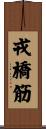 戎橋筋 Scroll