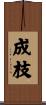成枝 Scroll