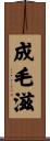 成毛滋 Scroll
