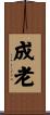 成老 Scroll