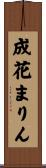 成花まりん Scroll