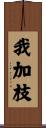 我加枝 Scroll