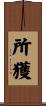 所獲 Scroll