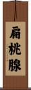 扁桃腺 Scroll