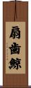 扇歯鯨 Scroll