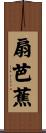 扇芭蕉 Scroll