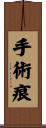 手術痕 Scroll