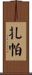 Zappa Scroll