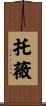 Tove Scroll