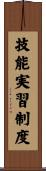 技能実習制度 Scroll