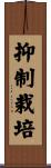 抑制栽培 Scroll