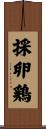 採卵鶏 Scroll
