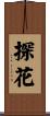 探花 Scroll