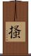 搔 Scroll
