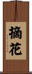 摘花 Scroll