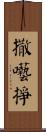 撒囈掙 Scroll