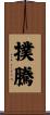 撲騰 Scroll
