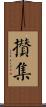 攢集 Scroll