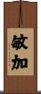 敏加 Scroll