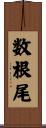 数根尾 Scroll