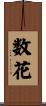 数花 Scroll