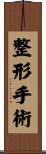 整形手術 Scroll