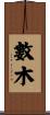 數木 Scroll