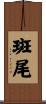 斑尾 Scroll