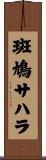 斑鳩サハラ Scroll
