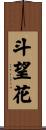 斗望花 Scroll