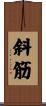 斜筋 Scroll