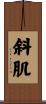 斜肌 Scroll